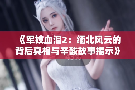 《军妓血泪2：缅北风云的背后真相与辛酸故事揭示》