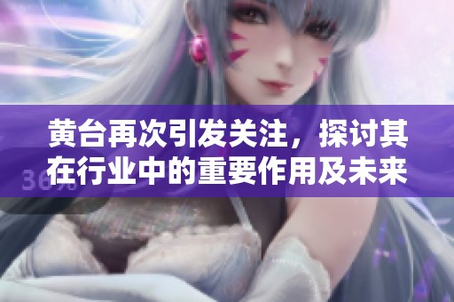 黄台再次引发关注，探讨其在行业中的重要作用及未来发展方向