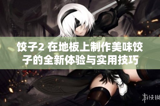 饺子2 在地板上制作美味饺子的全新体验与实用技巧