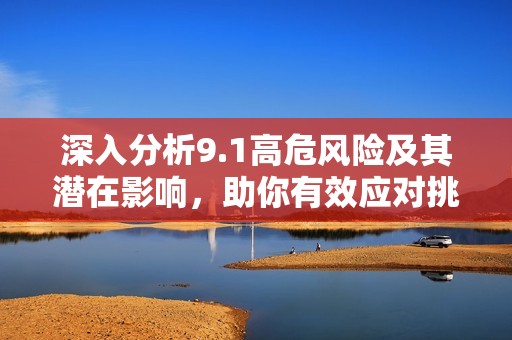 深入分析9.1高危风险及其潜在影响，助你有效应对挑战