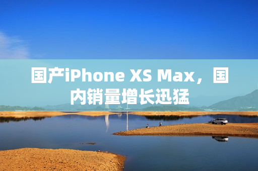 国产iPhone XS Max，国内销量增长迅猛