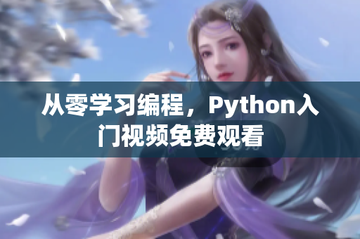 从零学习编程，Python入门视频免费观看