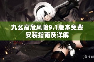 九幺高危风险9.1版本免费安装指南及详解