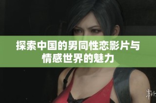 探索中国的男同性恋影片与情感世界的魅力