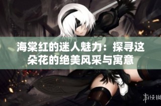 海棠红的迷人魅力：探寻这朵花的绝美风采与寓意