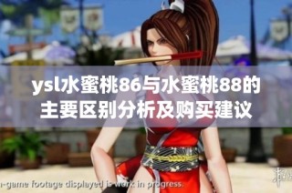 ysl水蜜桃86与水蜜桃88的主要区别分析及购买建议