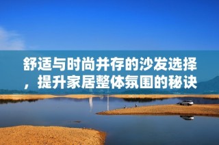 舒适与时尚并存的沙发选择，提升家居整体氛围的秘诀