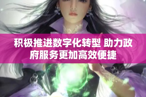 积极推进数字化转型 助力政府服务更加高效便捷