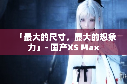 「最大的尺寸，最大的想象力」- 国产XS Max