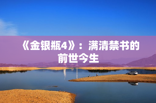 《金银瓶4》：满清禁书的前世今生