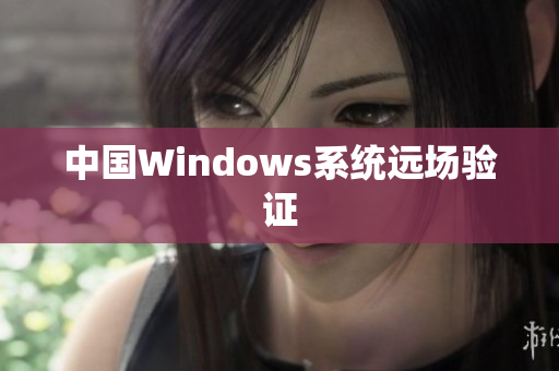 中国Windows系统远场验证