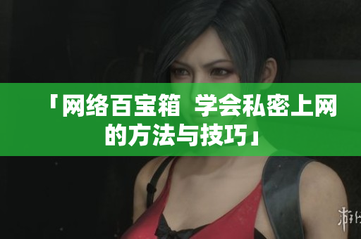 「网络百宝箱  学会私密上网的方法与技巧」