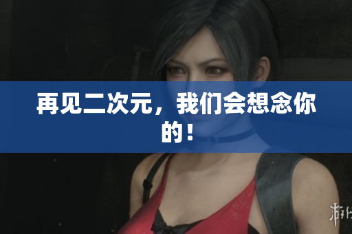 再见二次元，我们会想念你的！