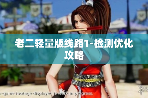 老二轻量版线路1-检测优化攻略