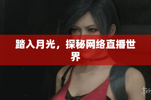 踏入月光，探秘网络直播世界