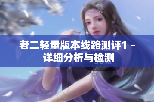 老二轻量版本线路测评1 – 详细分析与检测