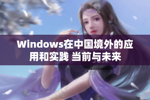 Windows在中国境外的应用和实践 当前与未来