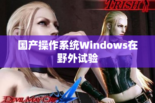 国产操作系统Windows在野外试验