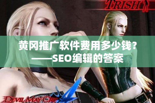 黄冈推广软件费用多少钱？——SEO编辑的答案