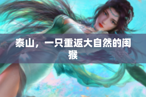 泰山，一只重返大自然的闽猴