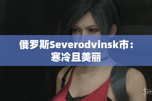 俄罗斯Severodvinsk市：寒冷且美丽
