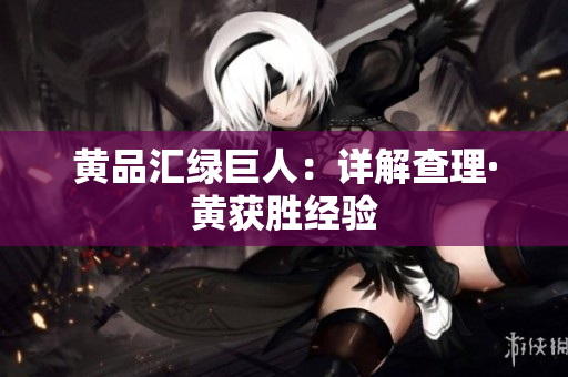 黄品汇绿巨人：详解查理·黄获胜经验