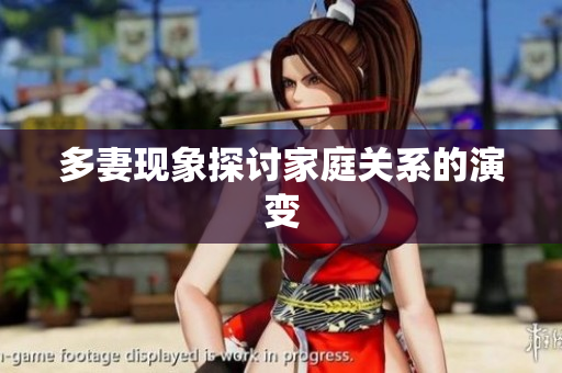 多妻现象探讨家庭关系的演变