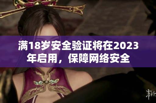 满18岁安全验证将在2023年启用，保障网络安全