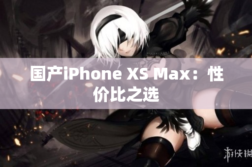 国产iPhone XS Max：性价比之选