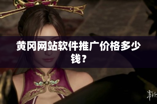 黄冈网站软件推广价格多少钱？