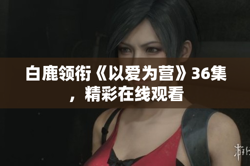 白鹿领衔《以爱为营》36集，精彩在线观看