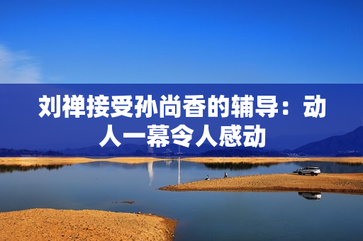 刘禅接受孙尚香的辅导：动人一幕令人感动