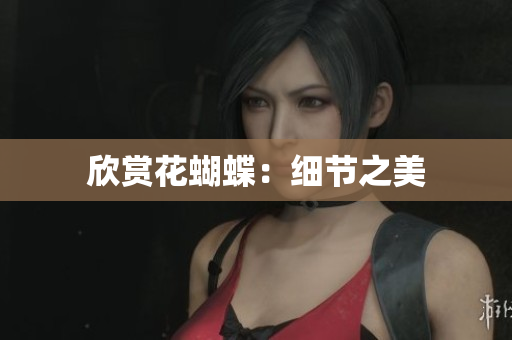 欣赏花蝴蝶：细节之美