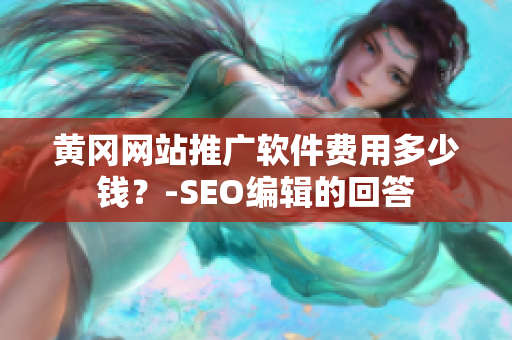 黄冈网站推广软件费用多少钱？-SEO编辑的回答