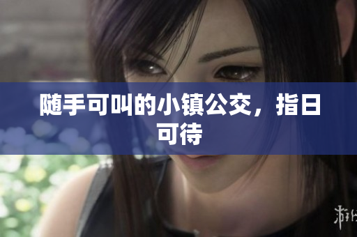 随手可叫的小镇公交，指日可待