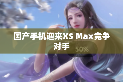 国产手机迎来XS Max竞争对手