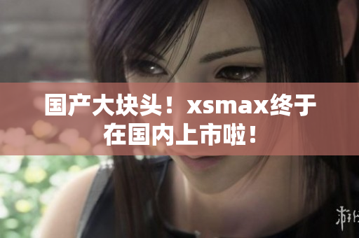 国产大块头！xsmax终于在国内上市啦！
