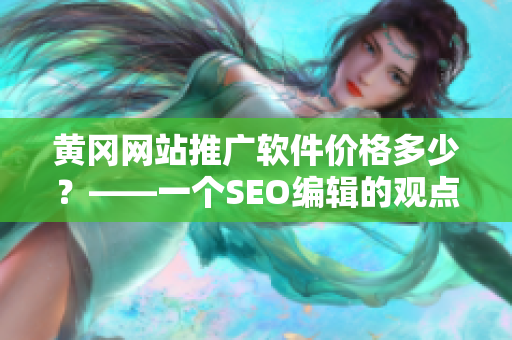 黄冈网站推广软件价格多少？——一个SEO编辑的观点