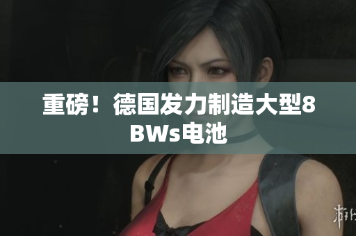 重磅！德国发力制造大型8BWs电池