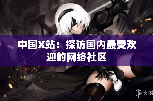 中国X站：探访国内最受欢迎的网络社区