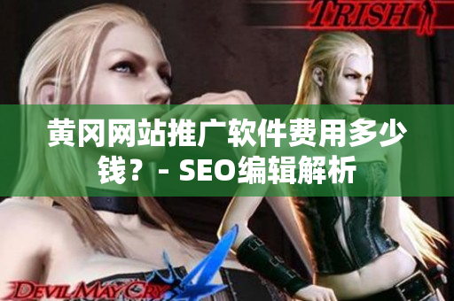 黄冈网站推广软件费用多少钱？- SEO编辑解析
