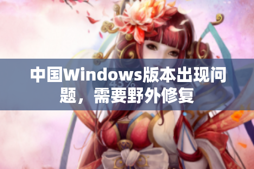 中国Windows版本出现问题，需要野外修复