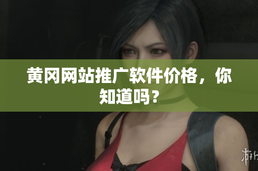 黄冈网站推广软件价格，你知道吗？