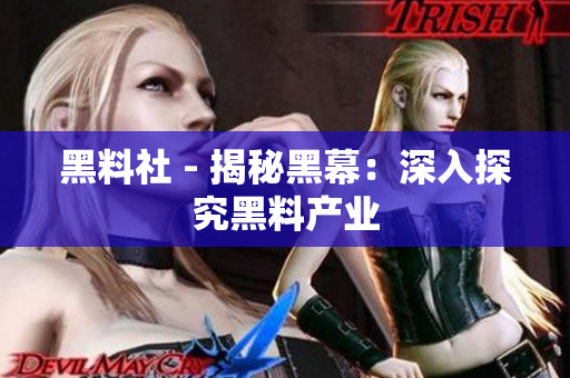 黑料社 - 揭秘黑幕：深入探究黑料产业
