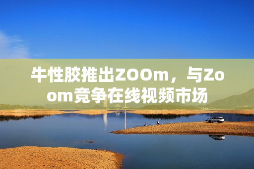 牛性胶推出ZOOm，与Zoom竞争在线视频市场