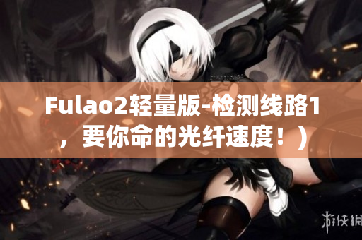 Fulao2轻量版-检测线路1，要你命的光纤速度！)