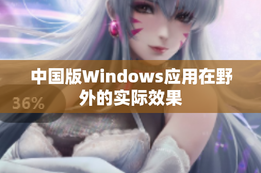中国版Windows应用在野外的实际效果