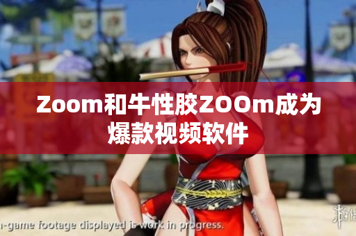 Zoom和牛性胶ZOOm成为爆款视频软件