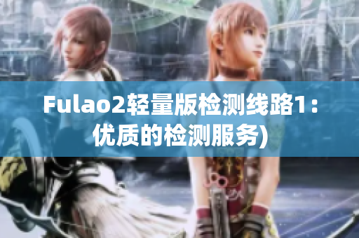 Fulao2轻量版检测线路1：优质的检测服务)