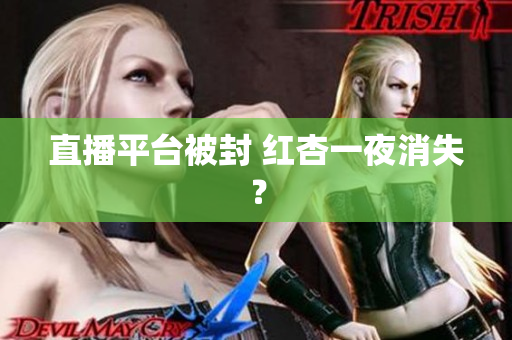 直播平台被封 红杏一夜消失？